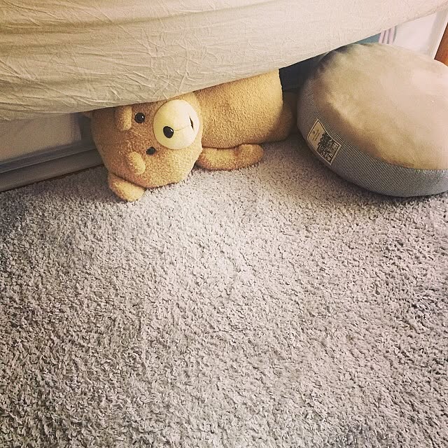 mameさんの実例写真