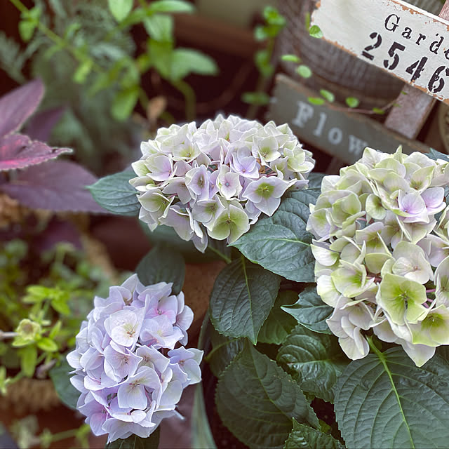 jos.wさんの実例写真