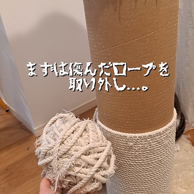kankanmom_horn_5catsさんの部屋