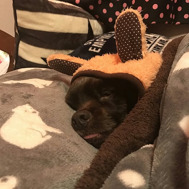 ayaさんの実例写真