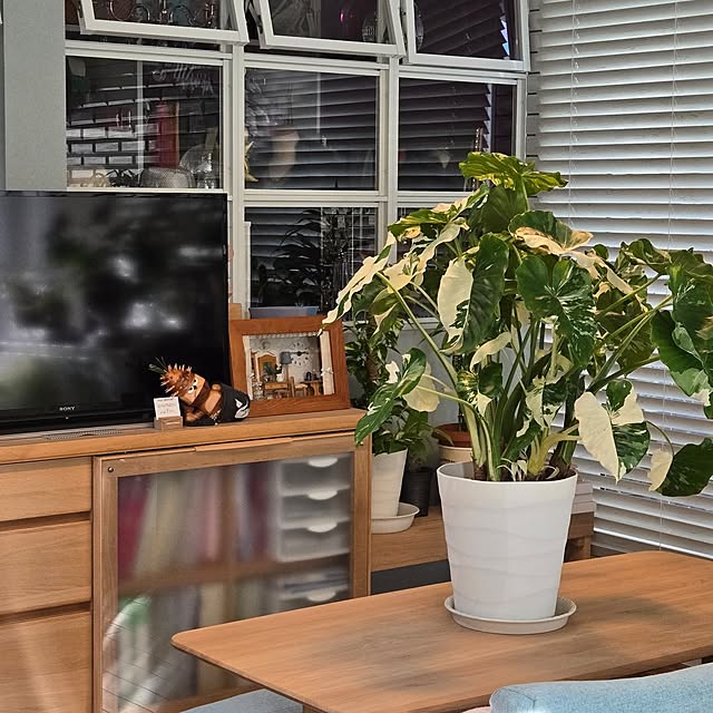 nonbiri_house_さんの部屋