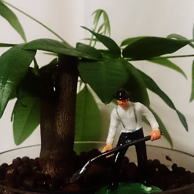 Harukaさんの実例写真