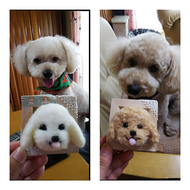yumirinさんの実例写真