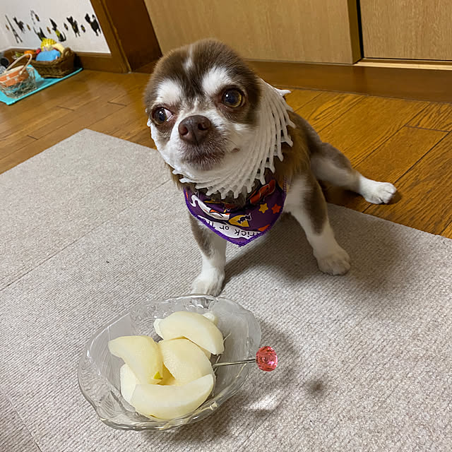 chIoeさんの部屋