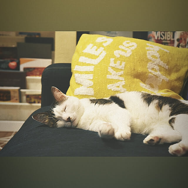 tropical_happy_lifeさんの実例写真