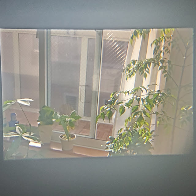 Fujiさんの実例写真