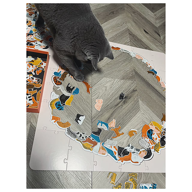 BTGさんの部屋