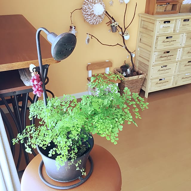 sakiさんの実例写真