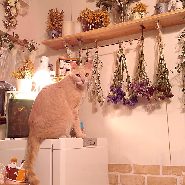 raterateさんの実例写真
