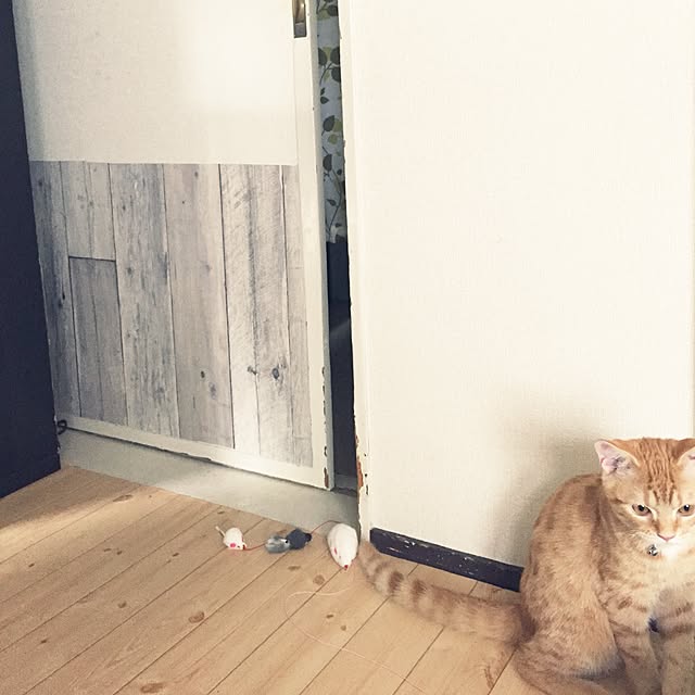 teteteteさんの実例写真