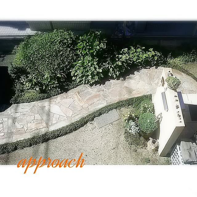 portulacaさんの実例写真