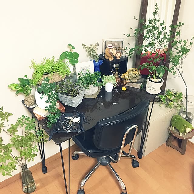 juboccoさんの実例写真