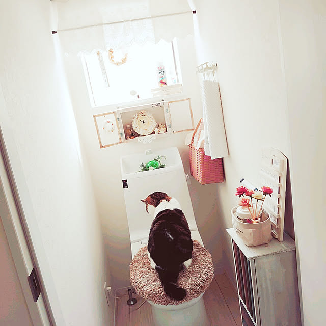 daifukuanmitsu1217さんの実例写真