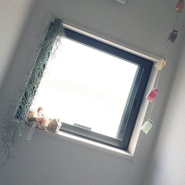 shimanekoさんの実例写真