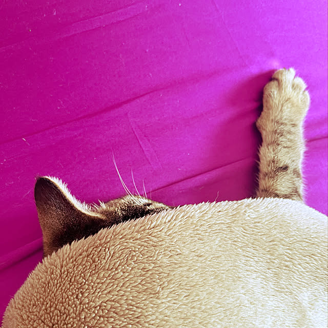 Mさんの実例写真