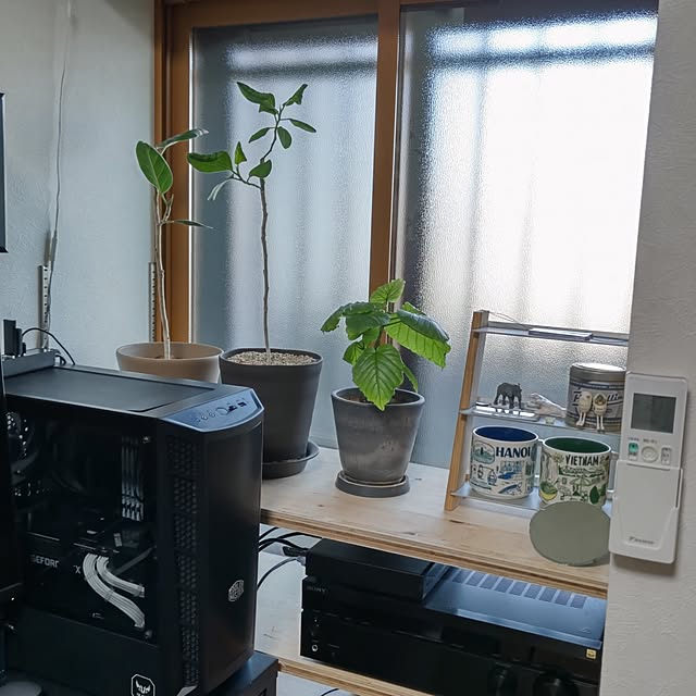 capuさんの実例写真