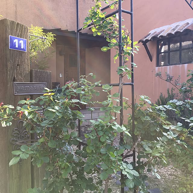 olivierさんの実例写真