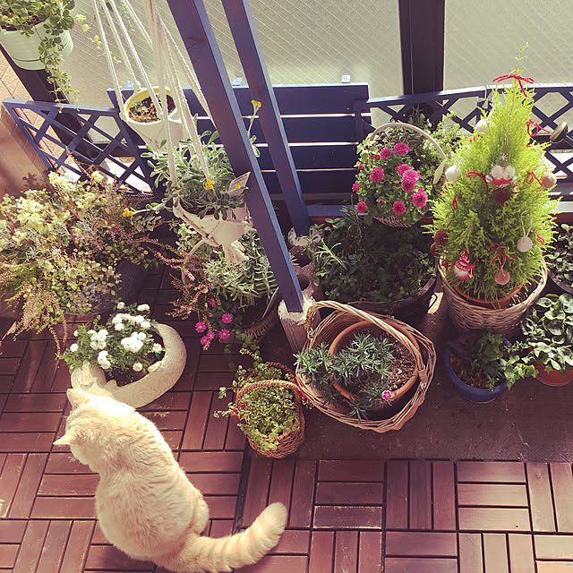 naokoさんの実例写真