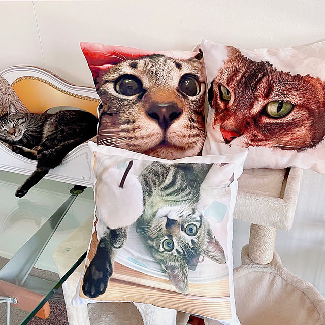 myuさんの実例写真