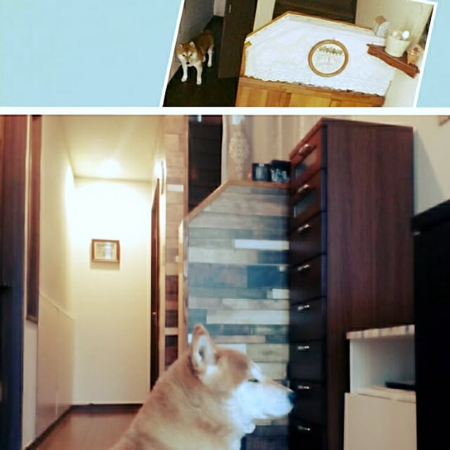 kotarinkoさんの実例写真