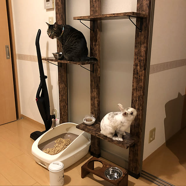 Ribbonさんの実例写真