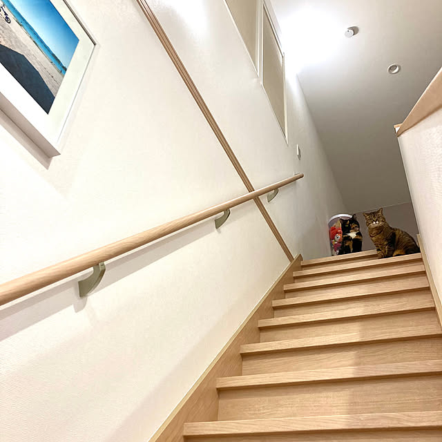 kirinsanさんの部屋