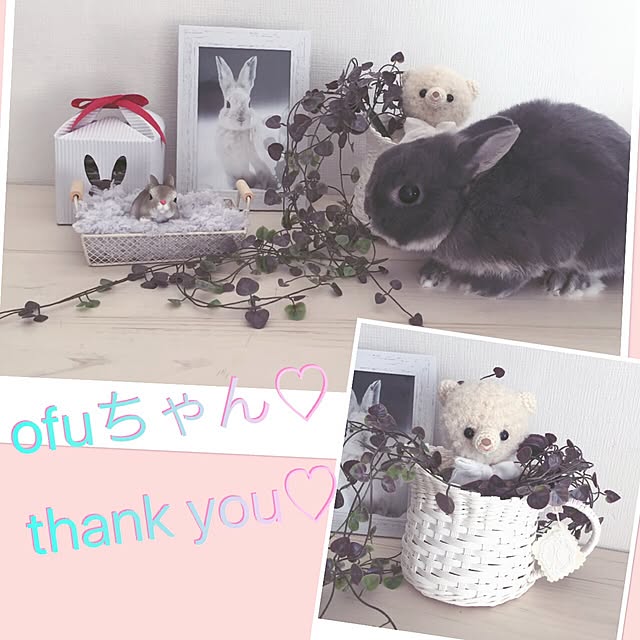 kusuttoさんの実例写真