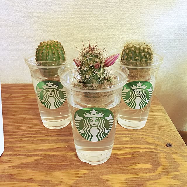 sayaさんの実例写真