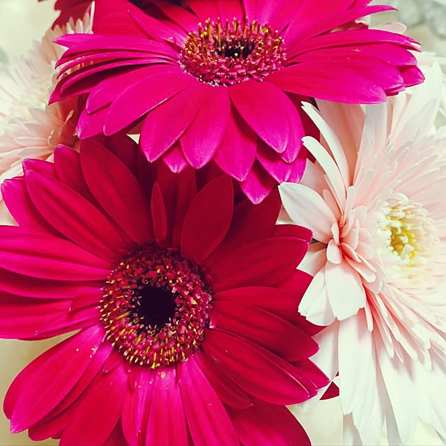 oeさんの実例写真