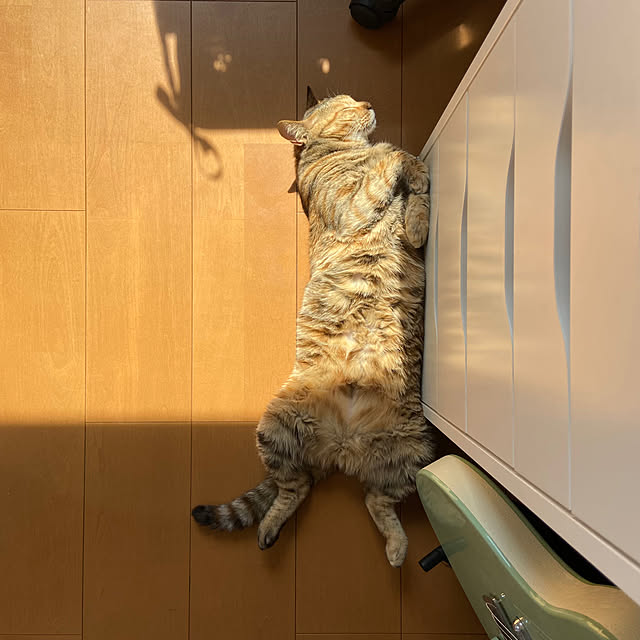 hansho.sさんの部屋