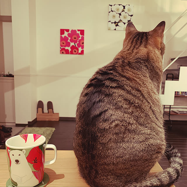 Ymさんの実例写真