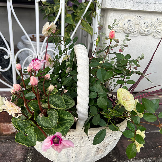 AYUKOさんの部屋