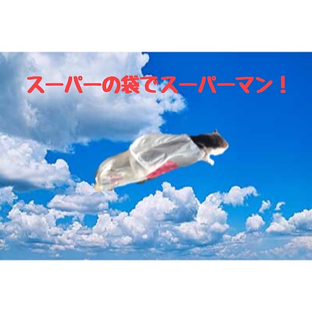 Ryoutaさんの実例写真