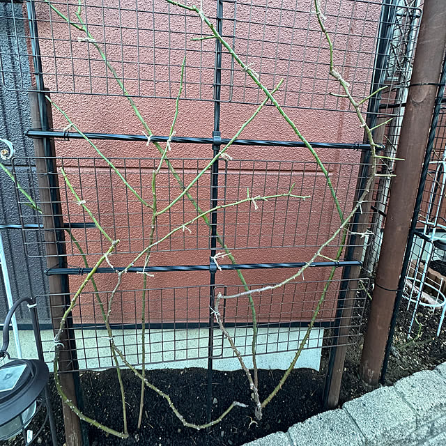 RoseLife5818さんの実例写真