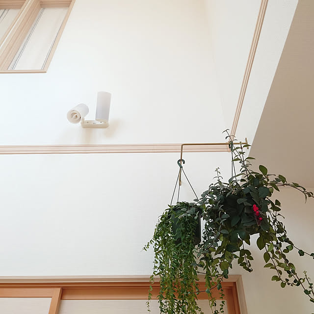 nao525さんの実例写真