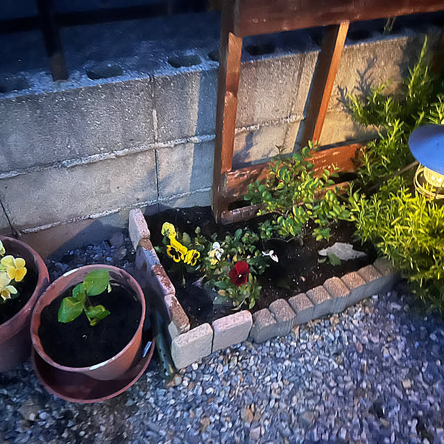 tomさんの実例写真