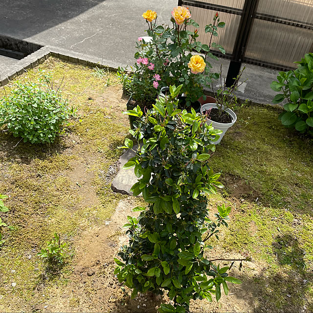 kakoさんの実例写真