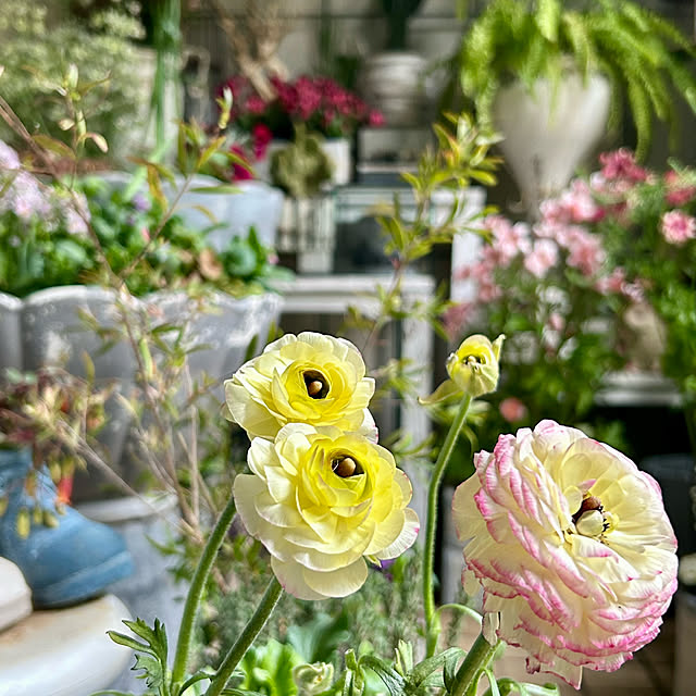 DAYONEさんの部屋