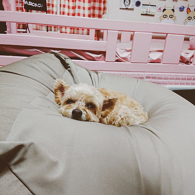kikiさんの実例写真
