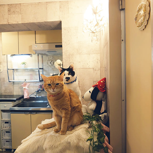 asuminさんの実例写真