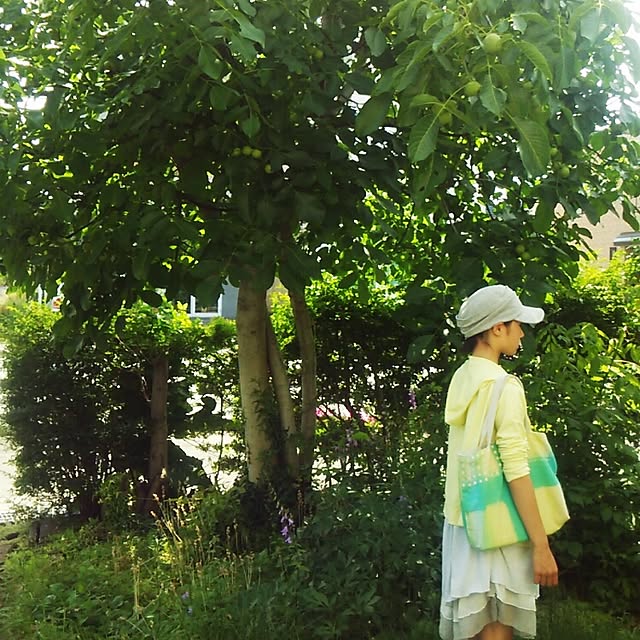 kanokomameさんの実例写真