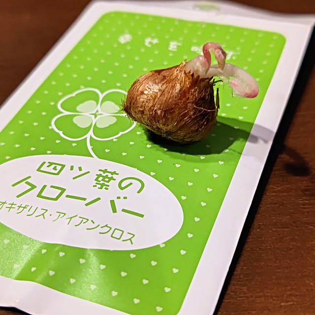RIERINさんの部屋