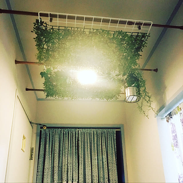 壁/天井/DIY/照明/フェイクグリーン/100均のインテリア実例 - 2018-04-17 19:21:29