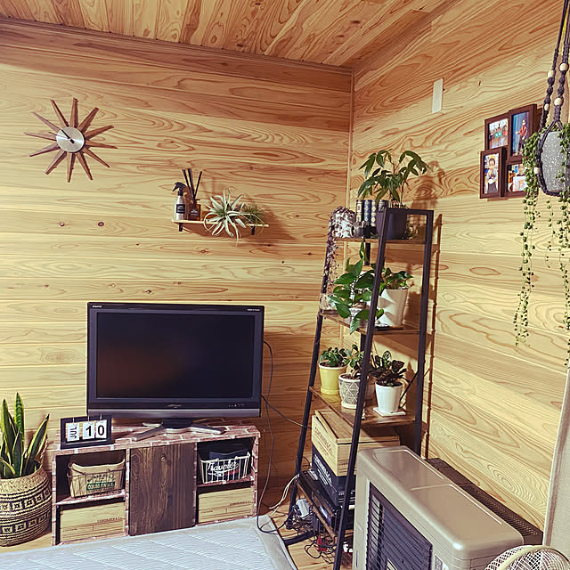 観葉植物/DIY/部屋全体のインテリア実例 - 2022-07-20 22:54:39
