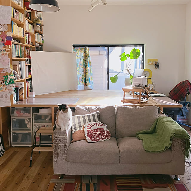 akanekoさんの実例写真