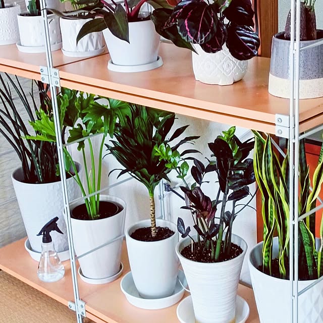 hanachanさんの部屋