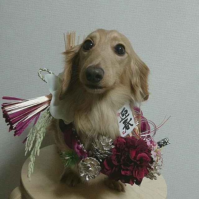 yasueさんの実例写真