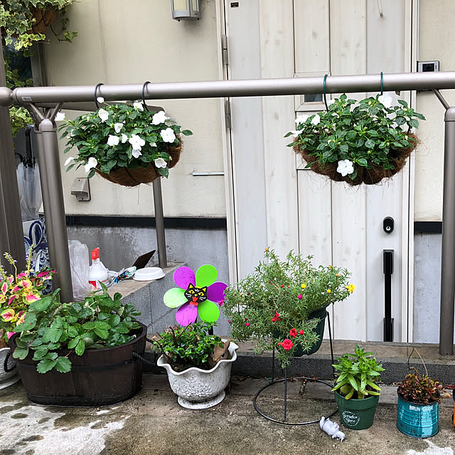 雑貨/観葉植物/100均/セリア/ダイソー...などのインテリア実例 - 2019-08-01 14:46:33