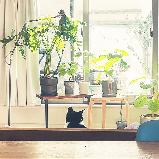 y.さんの部屋