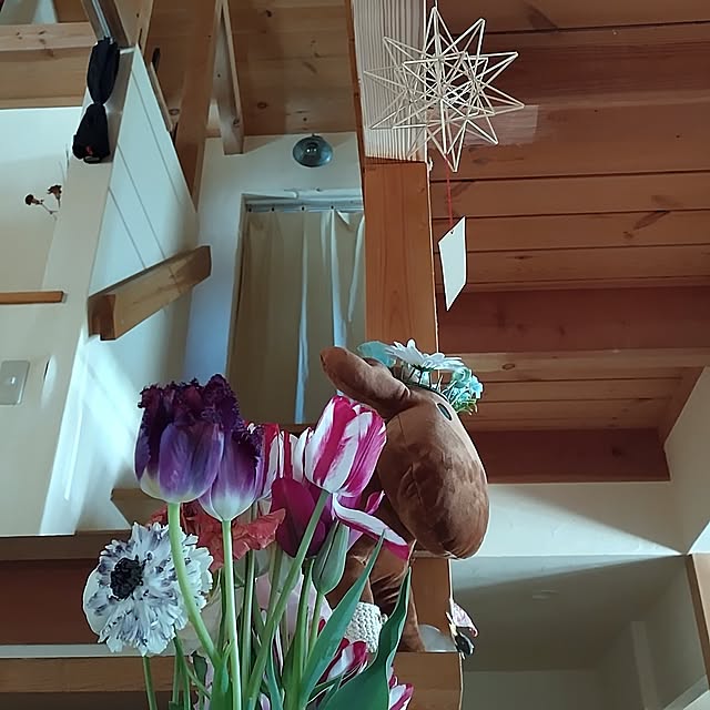 t.yumiさんの実例写真